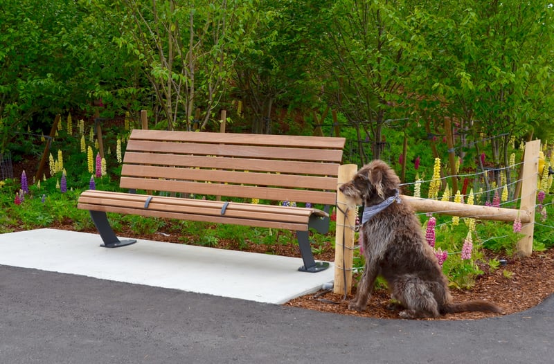 Ontario Place - Trillium Park & William G. Davis Trail preview 7